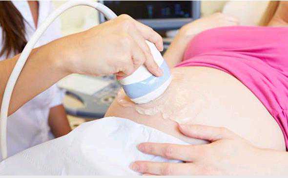 北京代孕代怀孕在哪里|美国试管婴儿过程中 冻胚移植（FET）成功率高于鲜胚？
