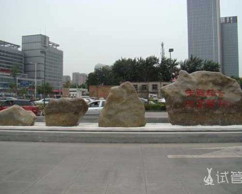 北京供卵平台（北京有没有做赠卵试管的）