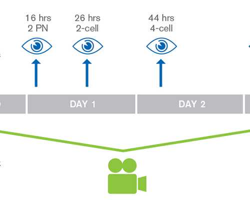 北京专业代怀孕价格|北京301解放军总医院试管怎么样？