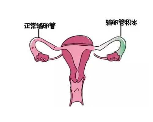 人工授精技术在畜牧业中的应用及实践研究