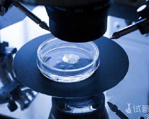 北京有找过代孕的吗要多少钱|浙江邵逸夫医院可以借卵做供卵试管吗?附浙江