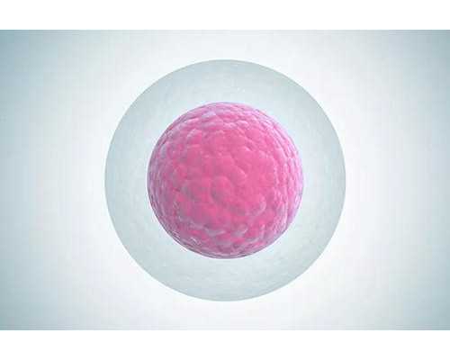 北京代怀孕公司|北京试管供卵生子包男孩多少钱？附北京供卵试管医院排名？