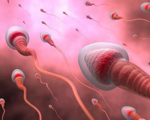 关爱女性健康的零食平价推荐