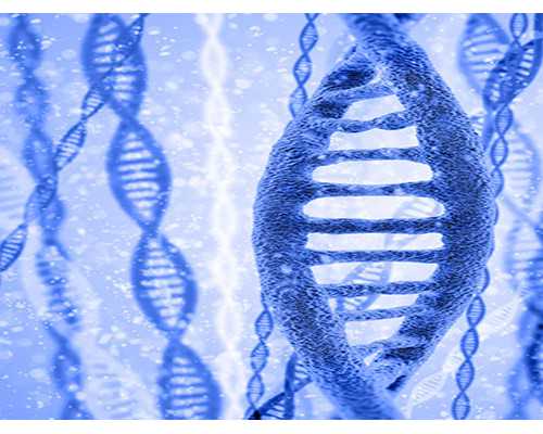 北京代生价格表,北京供卵公司有哪些？附2026北京试管助孕医院排名！