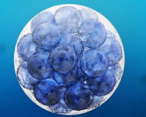 北京怎样借卵生子,北京三院三代供卵代孕费用多少钱？