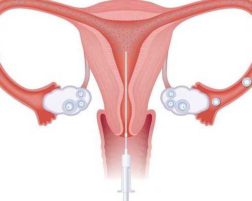 北京代孕网成功率,北京301医院做供卵试管,北京301医院能不能做供卵