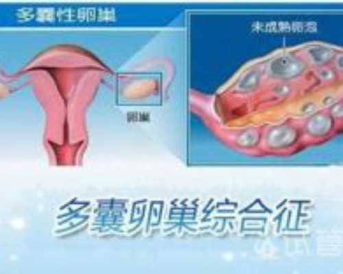 AA69国内代孕_aa69吕进峰公司,喀什试管价格-试管婴儿周期需要多长时间_怎么看三