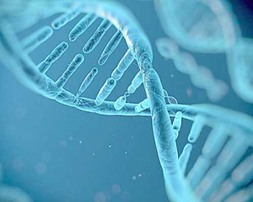 代妈价格_2026
合法代生,北京国际助孕公司,让您的宝宝更聪明-那个微刺激方案要