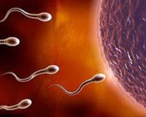 北京助孕成功率,北京三代供卵代孕包男孩靠谱吗