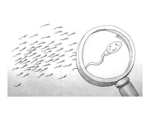 51宝贝助孕靠谱吗_2026
我要代孕,泰国试管婴儿出现缺陷的风险高吗？需要注意什