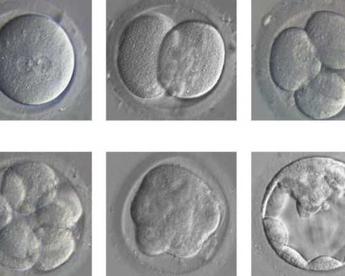 北京能代孕的公司,北京第三代试管医院是哪家?附北京试管医院介绍