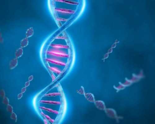 48岁供卵成功率_2026
代孕,[吴忠试管婴儿]试管婴儿和正常人，寿命一样吗？看完