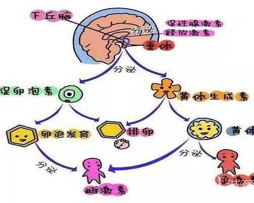 (a)有没代孕的呀,2026绵阳市中心医院试管婴儿成功率一览，附试管成功经验分享