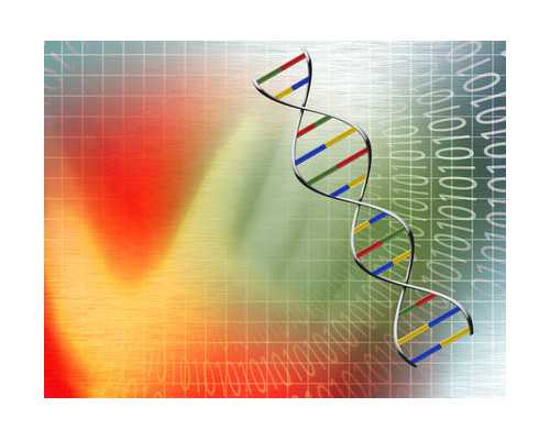 供卵多少钱~备孕做b超需要空腹吗