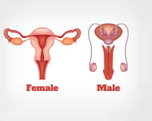 北京哪里代生比较好,北京第三代试管医院是哪家?附北京试管医院介绍