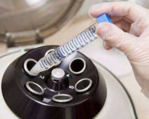 供卵代生服务~做试管婴儿前需要做什么运动