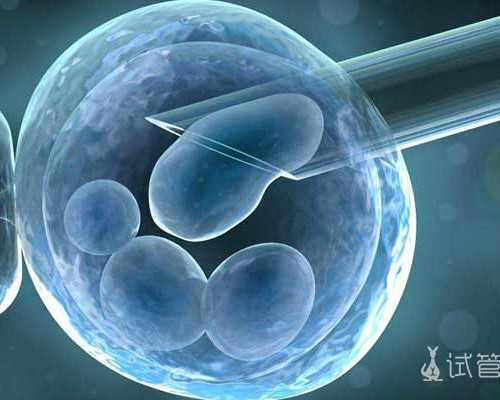 北京代孕公司好吗,北京公立供卵价格，2026年已更新|北京公立有几家