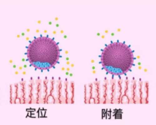 北京代生中介价格,北京供卵试管包成功博客