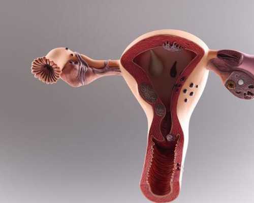 北京代怀中心正规吗|品牌影响力!北京供卵试管机构排名