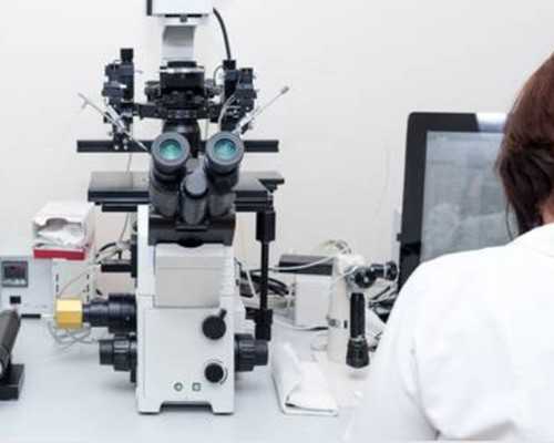 46岁供卵的成功率_50岁借卵自怀,香港仁安医院可以做性别鉴定,我的经历,给你