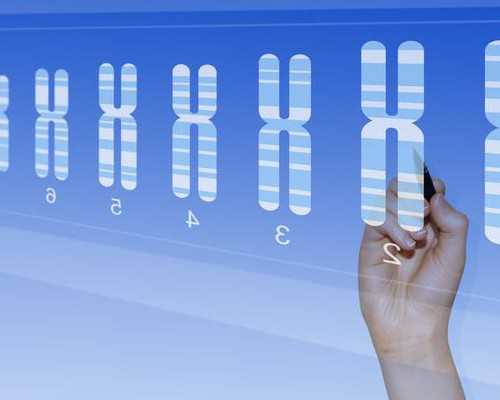 在北京做试管大概需要多少费用呢?