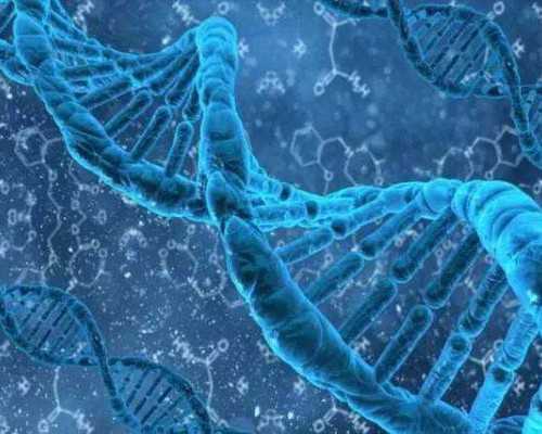 47岁试管供卵_代孕供卵生子,[试管一次能放几个胚胎]月经期为什么不能洗头?-做