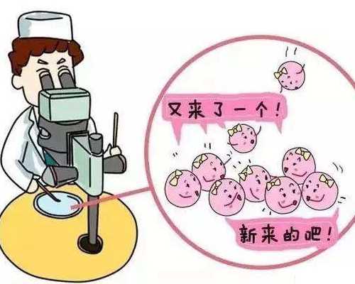 代怀qq群有吗_aa69套餐,试管促排过程具体是怎样的？真相在这里_供卵试管是自己