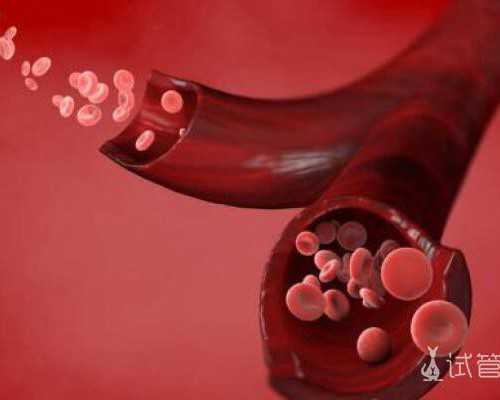 北京私立试管机构排名最好是哪家-北京私立做试管的医院哪个好