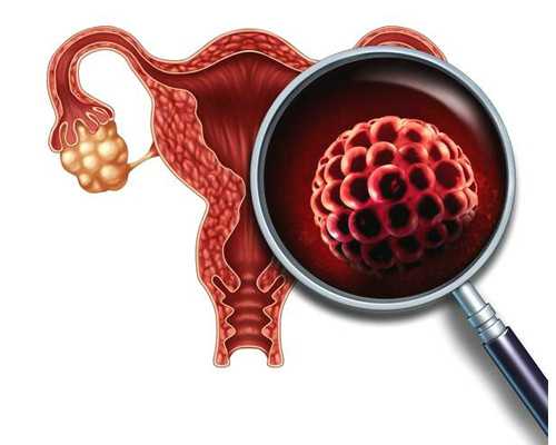 (a)借卵代孕需多钱,山东做试管婴儿费用?试管婴儿成功率高吗?