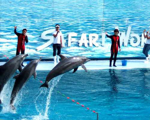 北京代生供卵试管机构|北京助孕机构-三代试管私立医院