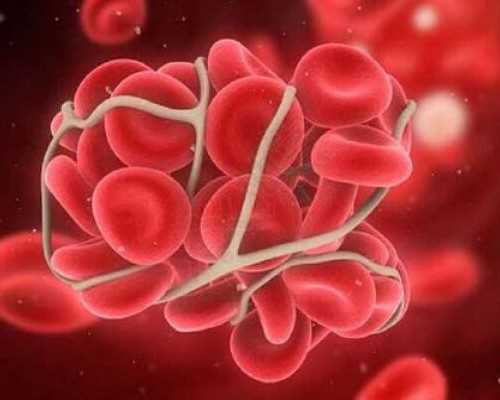 北京代生价格多少,北京试管价格