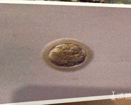 北京代孕公司中心,北京精子库时间,北京精子库报名