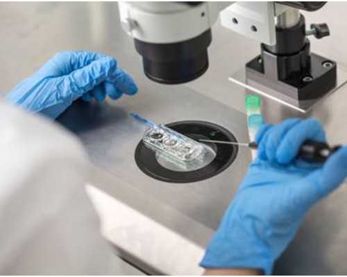 三代试管供卵生男孩_上栗代孕专家,高龄患有纵隔子宫可以做试管婴儿吗_上海供