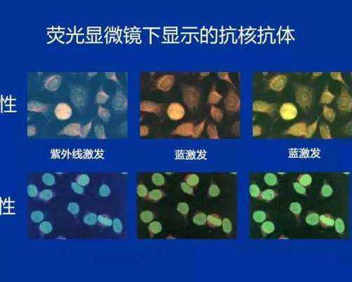 北京代生生男孩|北京助孕机构-北京三代试管医院