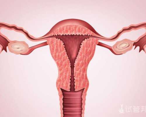北京代孕哪里比较好,北京做试管包成功