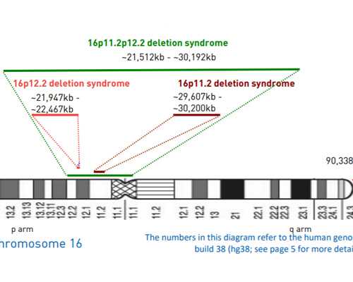 北京代生付款流程,北京三代试管包男孩靠谱吗?北京试管婴儿第三代可以选性