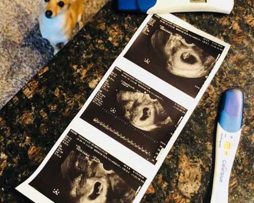 三代试管.包出生_代怀qq群有吗,北京供卵试管中心,供卵和普通试管成功率_染色