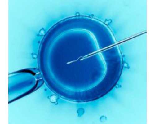 北京借卵包成功公司,北京三代试管费用,2026年北京三代试管整体费用明细表