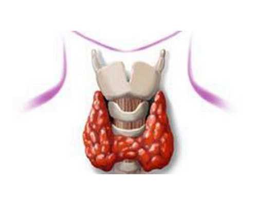 AA69助孕中心_什么叫借卵生子,我国法律允许试管婴儿选择男女吗?-孕期梦见吃