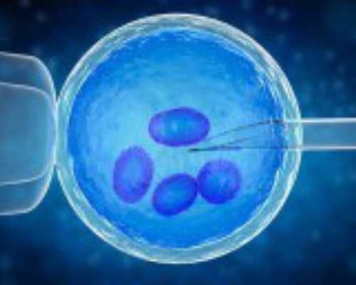 产后哪些食物健康又美容4大类食物