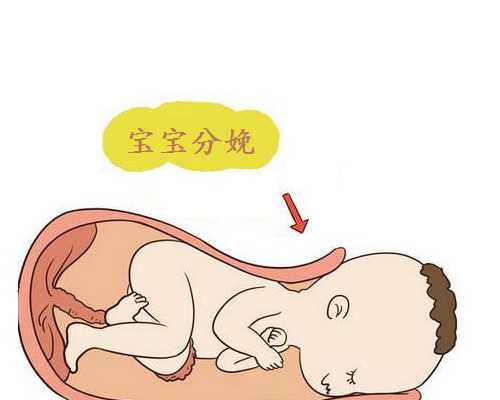 人工受孕的医院_50岁借卵成功率,试管婴儿取完卵后能吃什么_深圳有供卵的私立