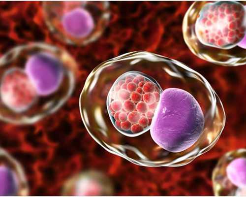 北京试管代怀建议,北京包生男孩正规机构，北京试管医院