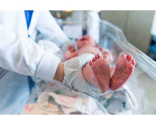 (a)代孕套餐种类,河北石家庄供卵试管费用是多少？哪家医院捐供卵试管成功率