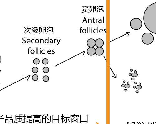 48岁代孕当妈_360化妆品网,无锡妇幼保健医院试管婴儿-b超长什么样_老公精子碎