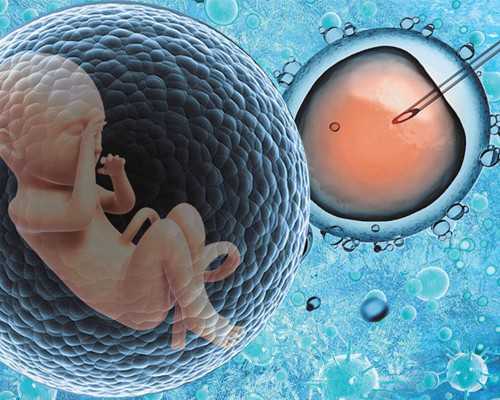 (a)代孕母亲价格,河北供卵的孩子:石家庄供卵多少钱