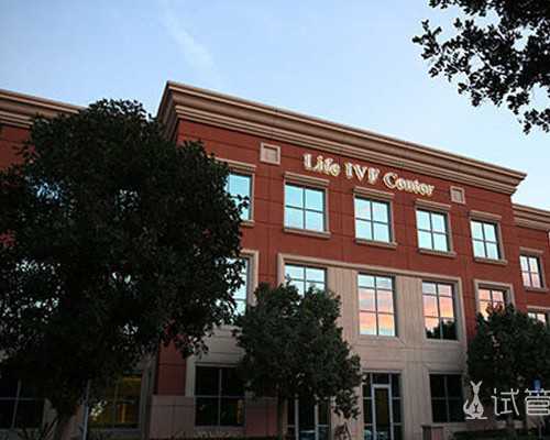  流出物与受孕机制关联解析，10. 怀孕前后的流出物是否会影响受孕成功？科学