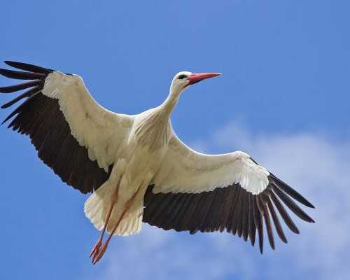 三代试管费用地下_aa69官网,要想试管取卵数量过得去,这4点打夜针禁忌需谨记