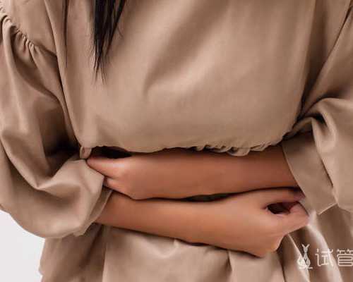 代怀产子费用_51宝贝助孕机构,北京正规的供卵试管公司胚胎分级标准?-宫腔镜