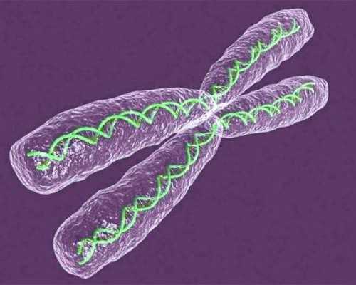 代妈工资_不孕不育,一个卵泡能做试管婴儿吗？效果真的好吗？-前列腺液检查出