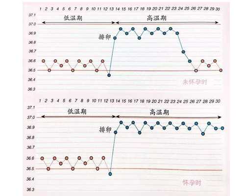 北京代生男宝宝,北京供卵试管包男孩